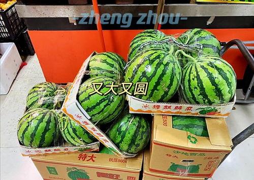黑料吃瓜网apk普通安装 