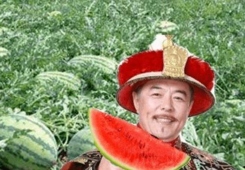 我的宫廷官方版下载 
