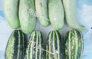 黑料吃瓜网apk普通安装 