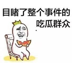 椒盐音乐GitHub官方版 