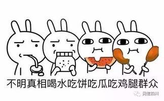 不正经的吃货 