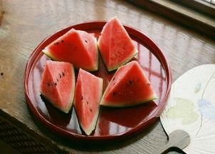 山海经吃播 