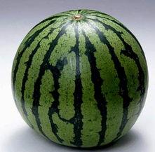 黑料吃瓜网apk普通安装 