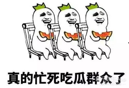 黑料吃瓜网apk普通安装 