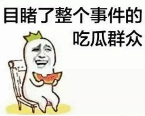 苹果ios15测试版描述文件 