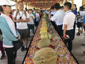 黑料吃瓜网apk普通安装 